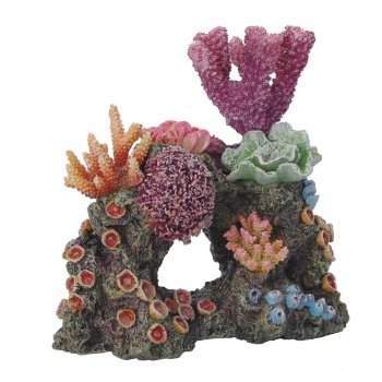 HAQUOSS REEF DREAM 12 - 16x11x16h cm
